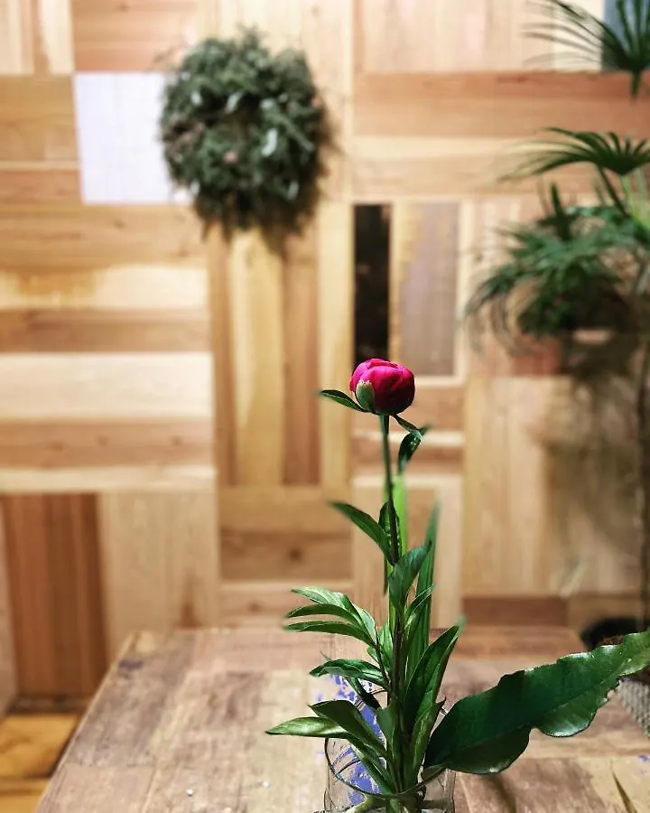 六根ゲストハウス Rokkon Guest House Kyoto