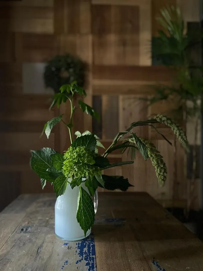六根ゲストハウス Rokkon Guest House Kyoto